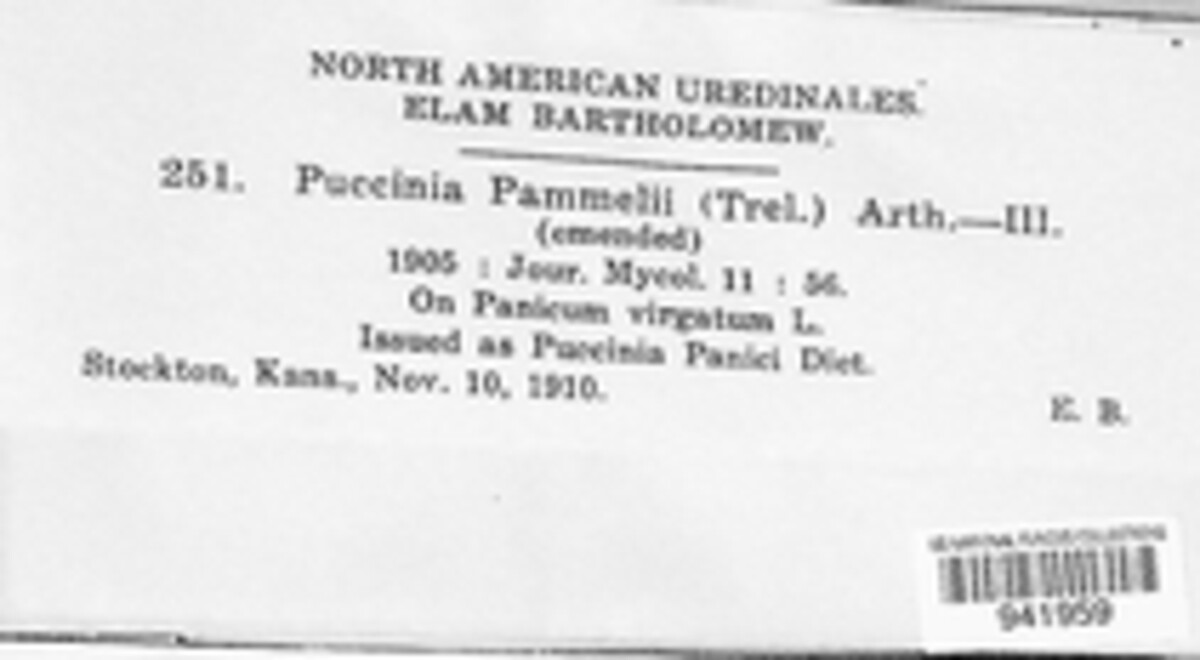 Puccinia pammelii image
